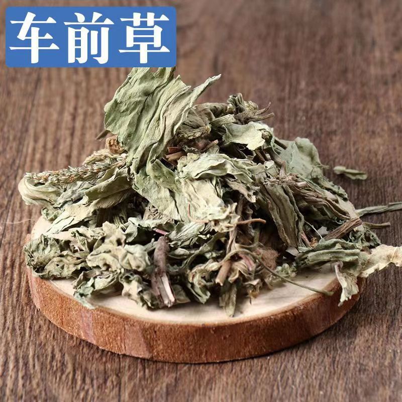 野山车前草500g新鲜车前草干货泡水喝整颗车前草泡茶真货好货