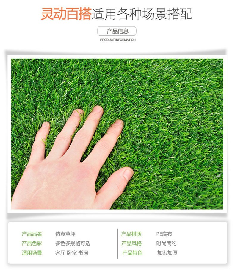 阿里地毯草详情 (4)