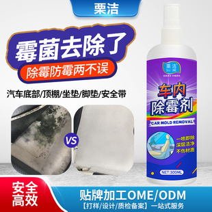 Car mildew remover car roof interior seat anti-mildew remover mildew removal mold cleaner car cleaning