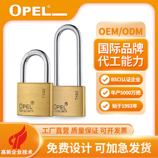 [�ֽ����Sֱ�N]OPEL�����A���L�E�AS��ȫ�~�}��؛܇�䙙���i�^