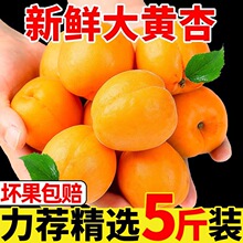 ���r���Ӵ��S�Ӯ����ЋDˮ����������ˮ���Fժ�����S���������l