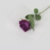 Little velvet purple purple