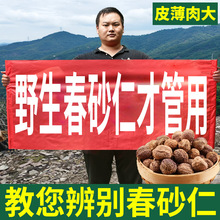 ����ꖴ���ɰ��ꖴ��خa100��Ұ����ɰ�ʹ��Ƥ�Ҝ��ٷ���Ş��