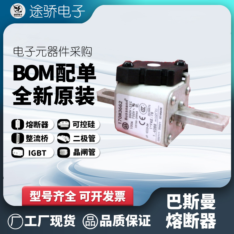 170M3670 170M3671 170M3672 170M3673 bussmann伊顿巴斯曼熔断器