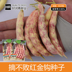 �S�����l�t���h���ǷN�Ӗ|���Ͷ��ǷN�Ѵ��＾�t���ļ����ܶ���