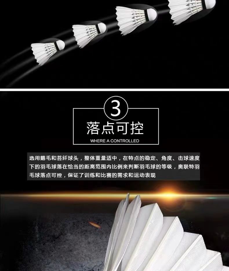 3915fb1e-0bd5-42d9-8395-e537b9b4cf9c.jpe