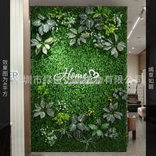 ���̲���̡�����ֲ�1ƽ���|�����w����Gֲ���bGɫ�쾰