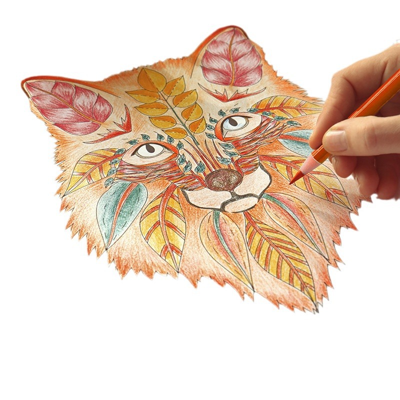 Lápices de colores a base de aceite Deli para niños y estudiantes, bolígrafos de dibujo en caja de lata 6566