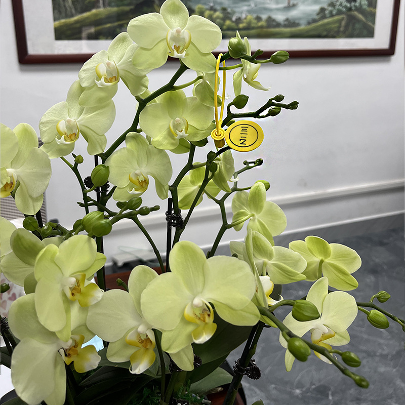 微信图片_20220422124145