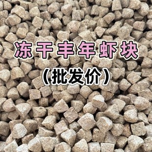 �羳�S���r�K����С���~�Z�^�p�~����S���x���ɉK�Ꭷ�~�~ʳ�D��