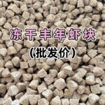 跨境丰年虾块冻干小型鱼粮观赏鱼饲料丰年虫冻干块热带鱼鱼食饵料