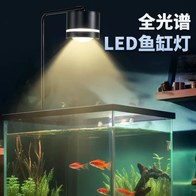 LED