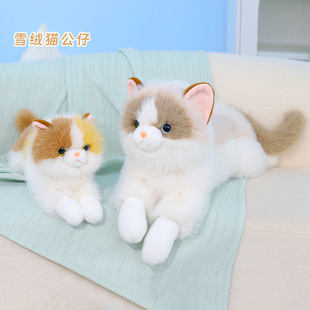 �������؈�乫��С؈��żë�q��߲��������նY��Ů������Ů����