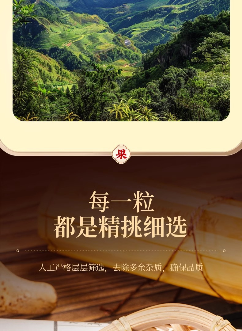 Dragon Blood Fruit Tea Long Xue Guo Dried Herbal Tea 250g Jar Sun Dried Sulfur Free in use