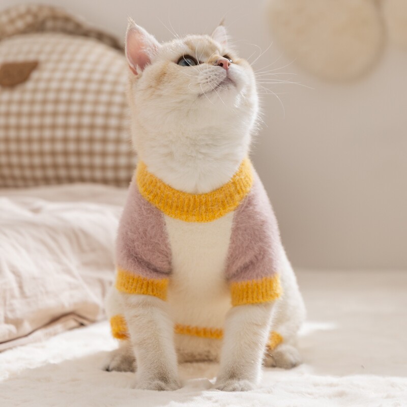 猫咪衣服仿貂绒保暖四脚毛衣秋冬季德文猫无毛猫泰迪比熊宠物衣服|undefined