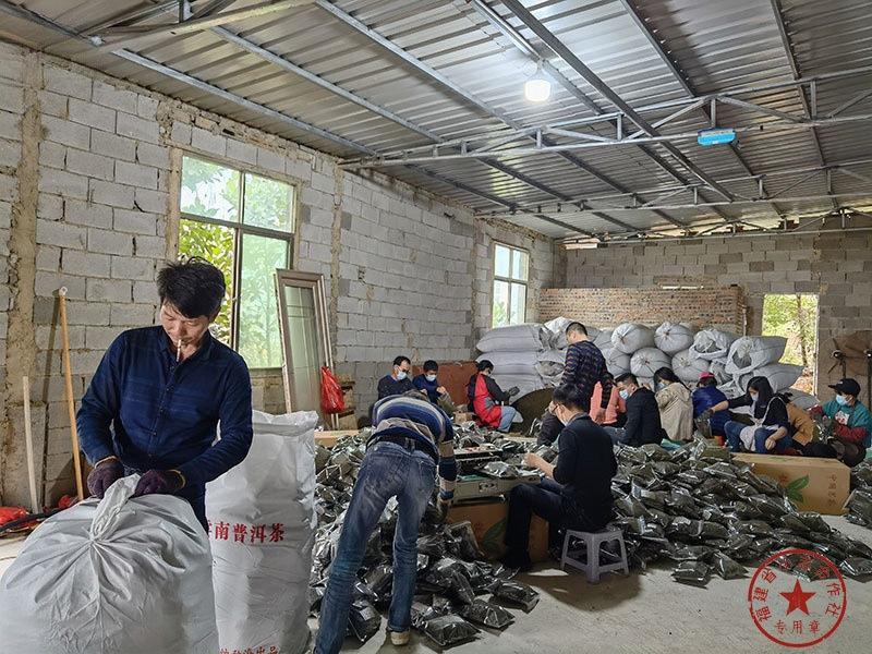 福建省安溪小志茶叶专业合作社