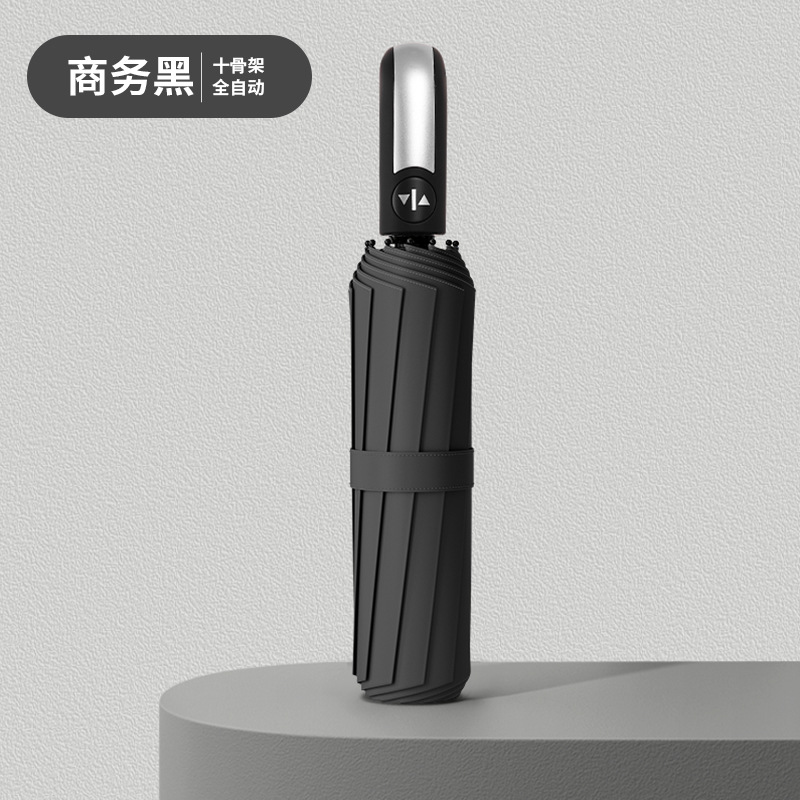 10 뼈 (자동) 검정 비닐 선 스크린 블랙