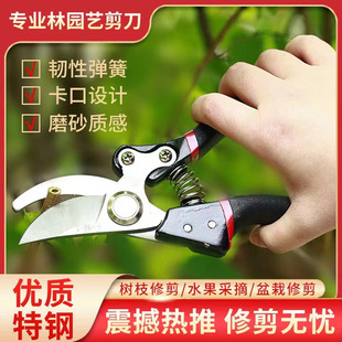 Manufacturer's Popular Sk5 Powerful Gardening Scissors, Stainless Steel Labor-Saving Scissors for Pruning Fruit Trees, Thick Branches and Branches Wholesale