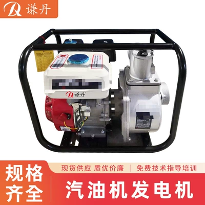 Qiandan gasoline engine power, Avtomobil generatorları