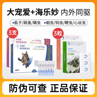 �����w����x����xș��xșș�w��؈����x���\�󌙐���΄�һ�w