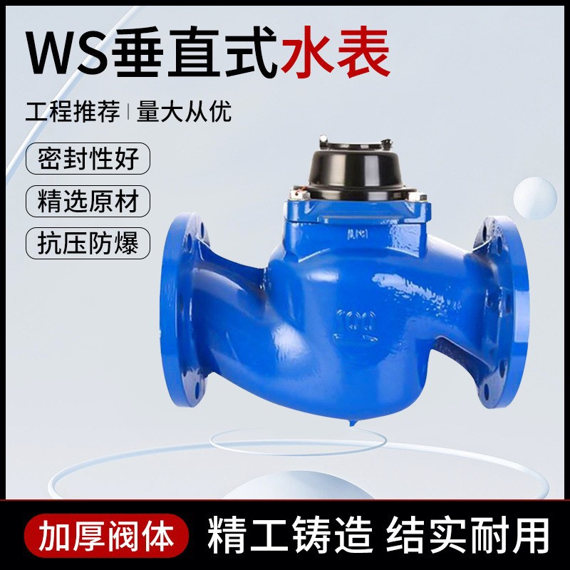 WS垂直式水表螺翼式防冻大口径高精准可拆卸干式水厂物业水表宁波