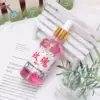 Rose fragrant