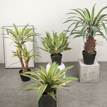 �ָ�ܛ�z���Ͻ�߅�����m��߅�S���m����ֲ���쾰�Gֲ���鄦�m��