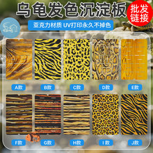 �����lɫ���x�Ё�����ľ�y�lɫ����x�а�����������B�Ў�������