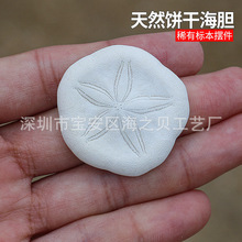 ɳ�X��đ�˱���Ȼؐ�����ݿ՚��P��Ҿ��쾰�b�Ʒɺ�đ�����l