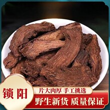 i500giƬ½Ȼiꖂɴɐ޽ݾϺ