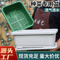 种菜专用箱长方形塑料花盆大号耐用花盆家庭阳台蔬菜种花种植神器