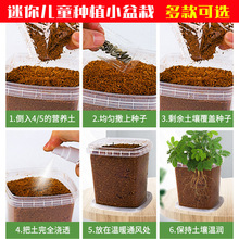 ͯNֲ׃@^ֲLrdiyNӰlѿСWԷN