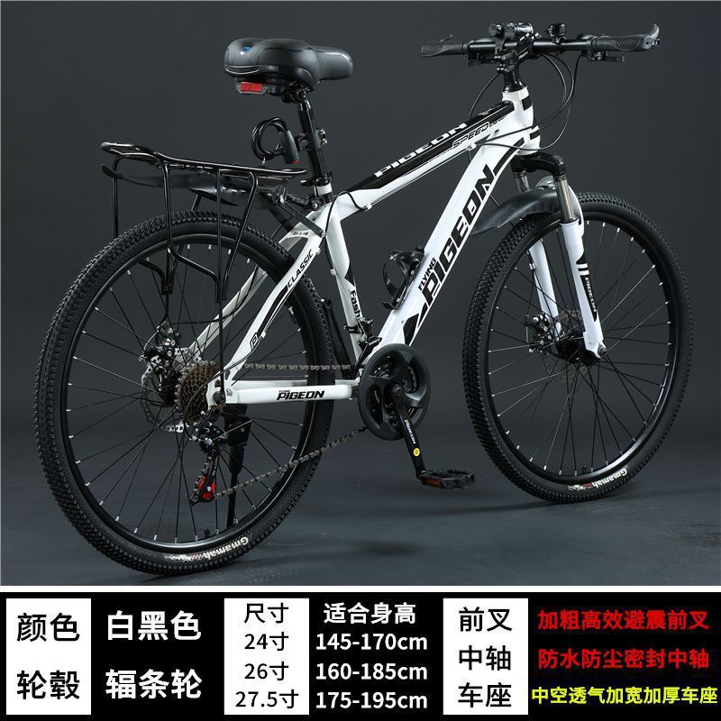 Steel frame version - white and black - flagship version [spoke wheel]