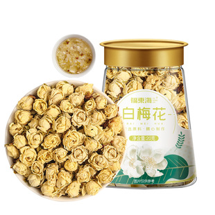 ���|����÷��20�˾G��÷����G÷����ș�ĸɻ��ݲ谲�ջ��ݲ����l