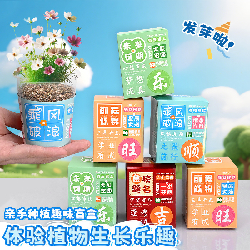 Creative Small Gifts for Students Wholesale Plants Indoor Potted Plants Surprise Blind Box Kindergarten Gifts Event Prizes Customization