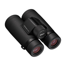 hrhR¿EDMONARCH M7߱yݳ^