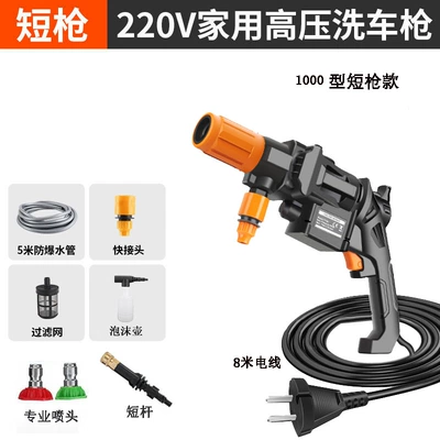 washer water gun wholesale, Portable car washer - 1000-professional-standard
