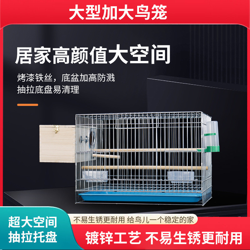 中型鸟笼镀锌鹦鹉笼电镀锌鸽子笼玄凤八哥小太阳养殖笼牡丹繁殖笼|undefined