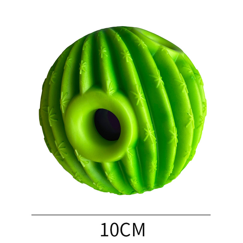 선인장 10cm (opp 가방)/5.00 kg-10.00 kg 개