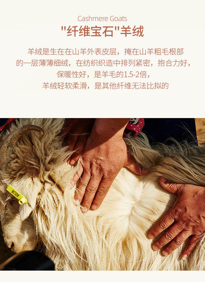 美丽奴羊毛打底面料