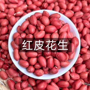 �|���t���������������t�������Ҝ����r�tƤ����������һ�����l