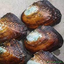 �_����պӰ������l�r��������Լ���ȡ�������������鵭ˮ����