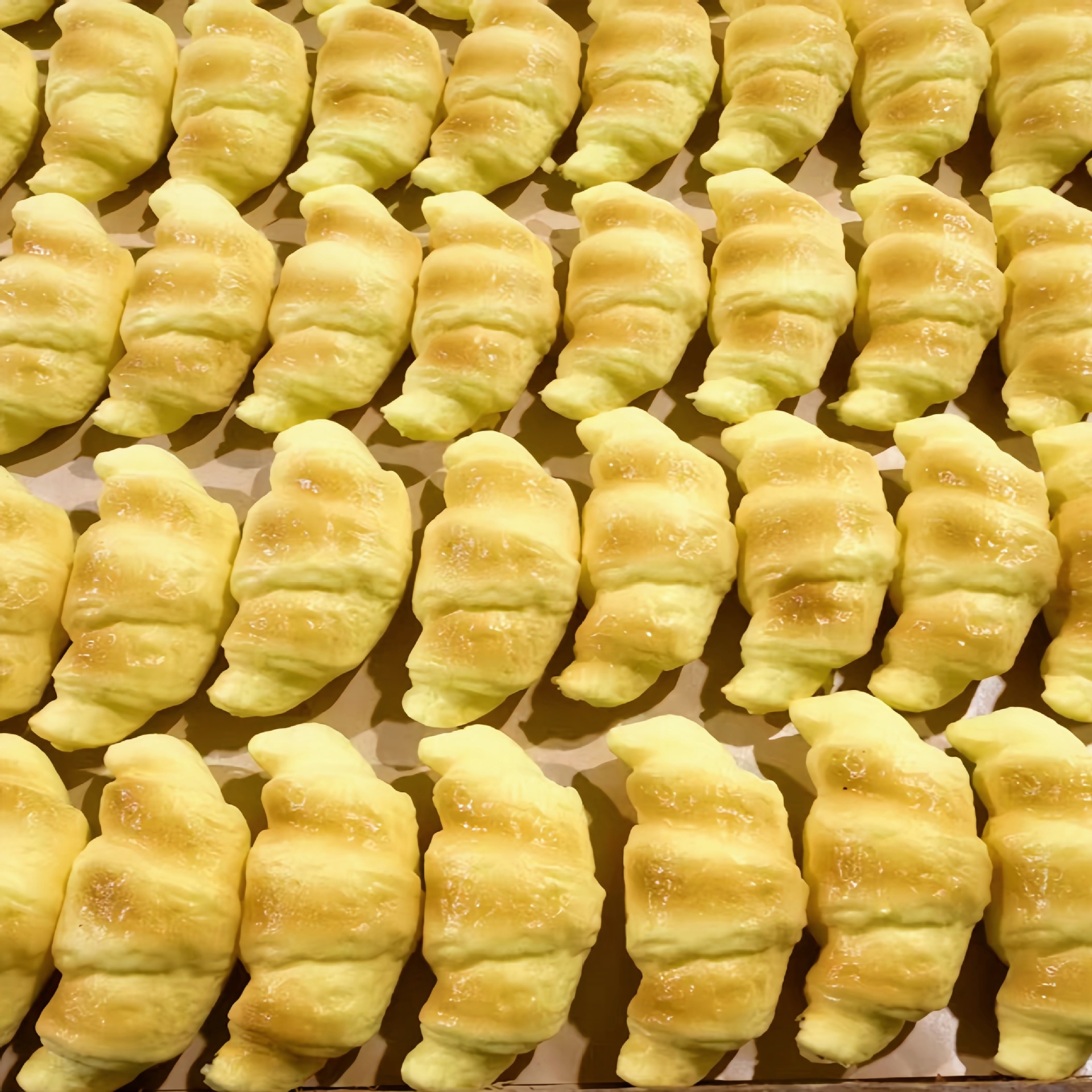 느린 리바운드를 갖춘 촉촉하고 부드러운 느낌의 대형 크루아상 1개