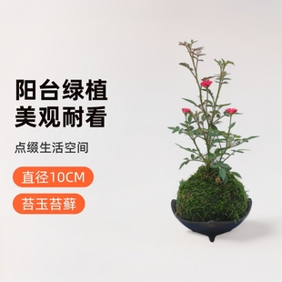 ���������㳬΢���¼�õ�弧�¼�̦��̦�\���̨��̨����Gֲ����