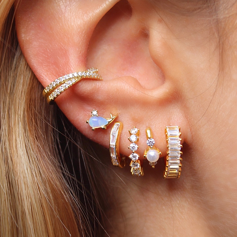 Fashion Geometric Sterling Silver Inlaid Zircon Earrings 1 Pair