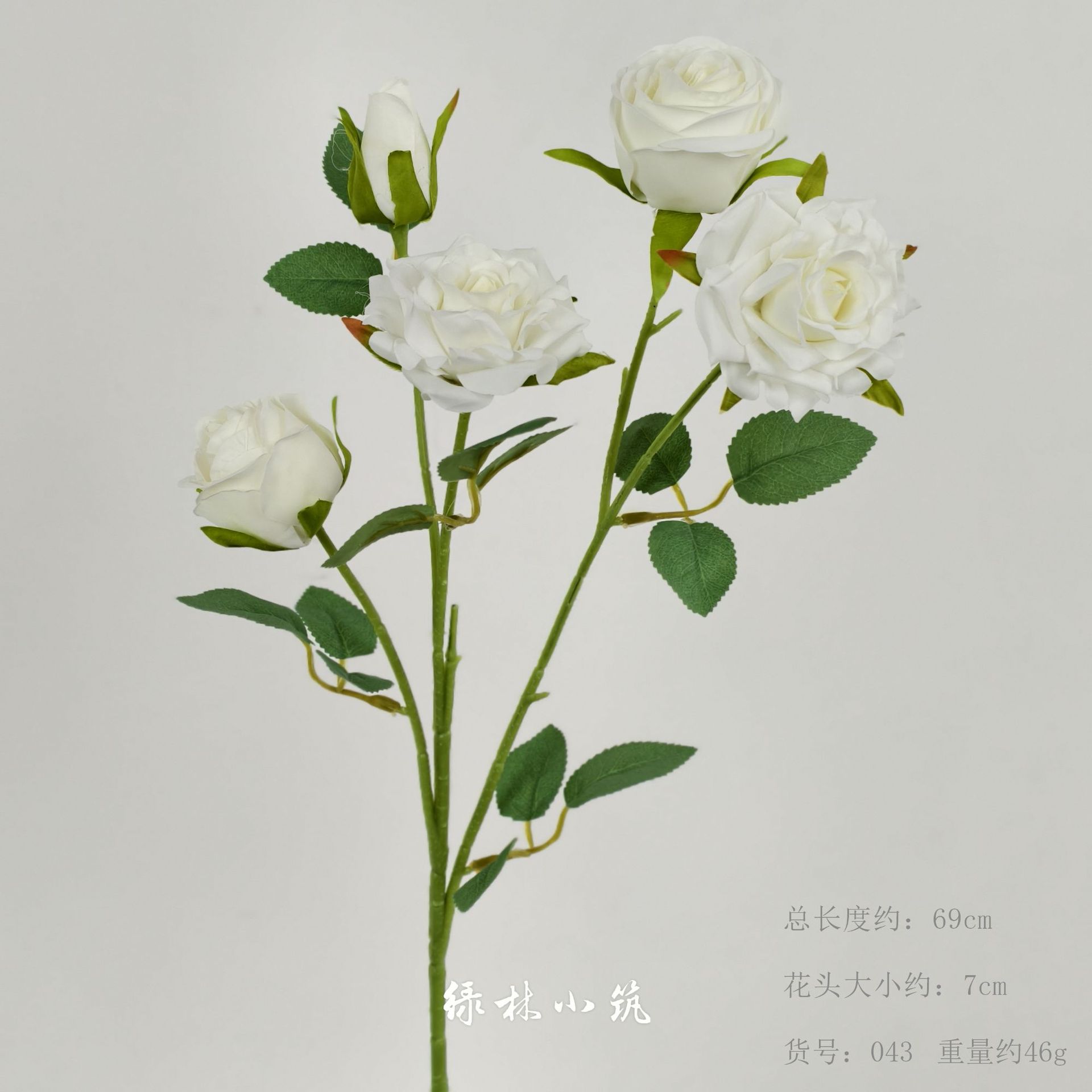 품목번호 043-다섯머리 페니시 장미