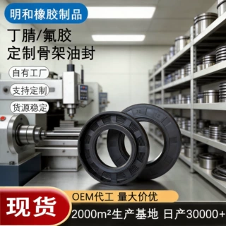 骨架油封密封圈定制丁腈氟胶耐高温耐磨油封TG4/TC全型号密封件