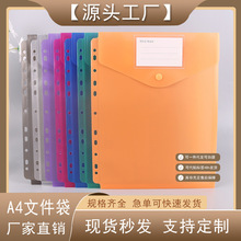 11孔A4文件袋透明收纳资料袋办公账单收纳学生考试袋外贸亚马逊