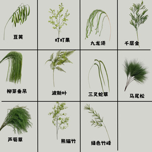 Green simulated Monet wedding flower arrangement leaf material asparagus grass reed lawn wedding decoration decoration wholesale green leaves