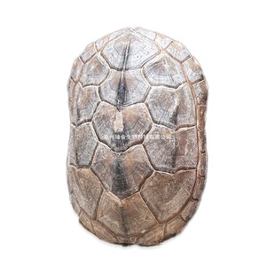 ���� ������ ���������� ���ʹ��  �a��؛Դ  ����ă�